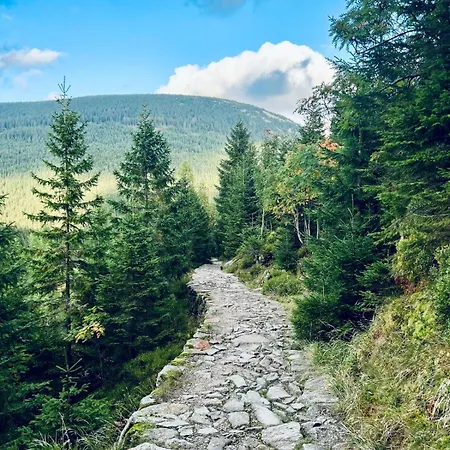 Bouda Bile Labe Pensjonat Szpindlerowy Młyn