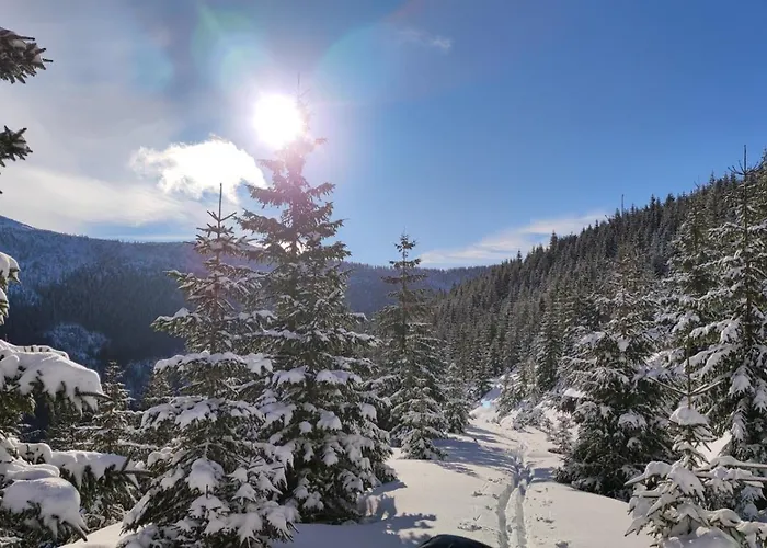 Bouda Bile Labe 게스트하우스